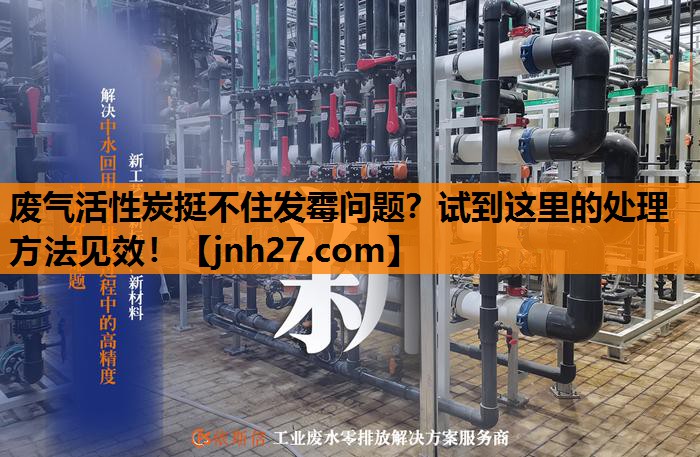 废气活性炭挺不住发霉问题？试到这里的处理方法见效！