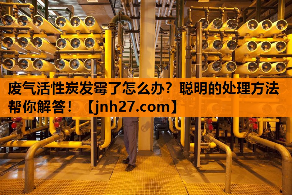 废气活性炭发霉了怎么办？聪明的处理方法帮你解答！