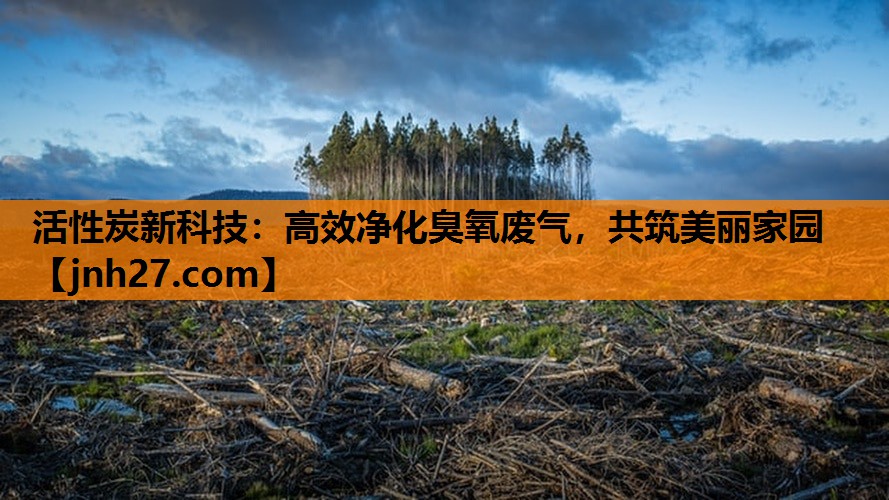 活性炭新科技：高效净化臭氧废气，共筑美丽家园