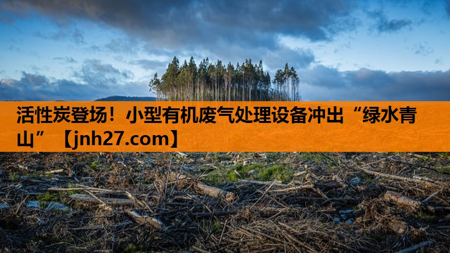 <strong>活性炭登场！小型有机废气处理设备冲出“绿水青山”</strong>
