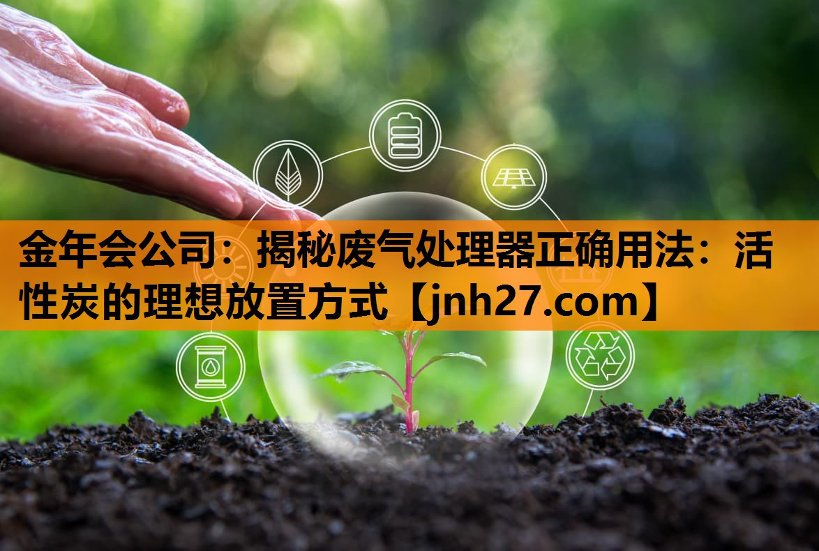 <strong>金年会公司：揭秘废气处理器正确用法：活性炭的理想放置方式</strong>