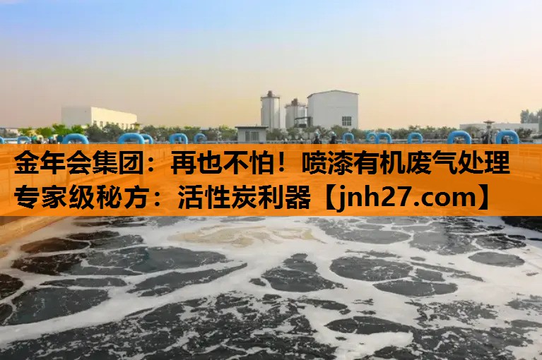 金年会集团：再也不怕！喷漆有机废气处理专家级秘方：活性炭利器
