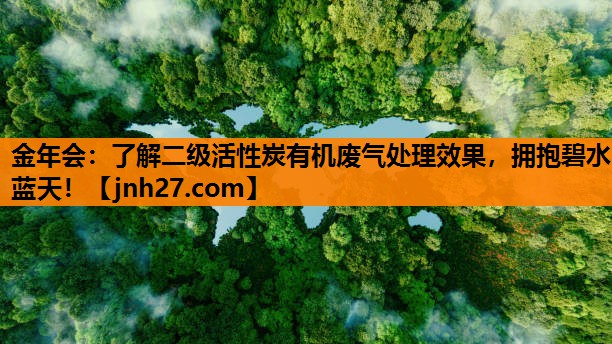 金年会：了解二级活性炭有机废气处理效果，拥抱碧水蓝天！