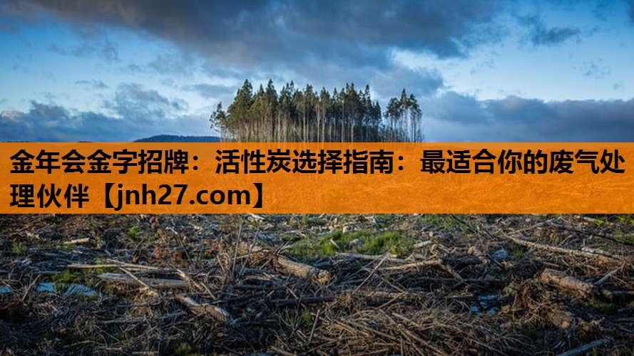 金年会金字招牌：活性炭选择指南：最适合你的废气处理伙伴