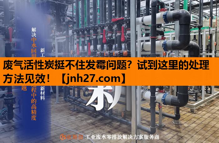废气活性炭挺不住发霉问题？试到这里的处理方法见效！