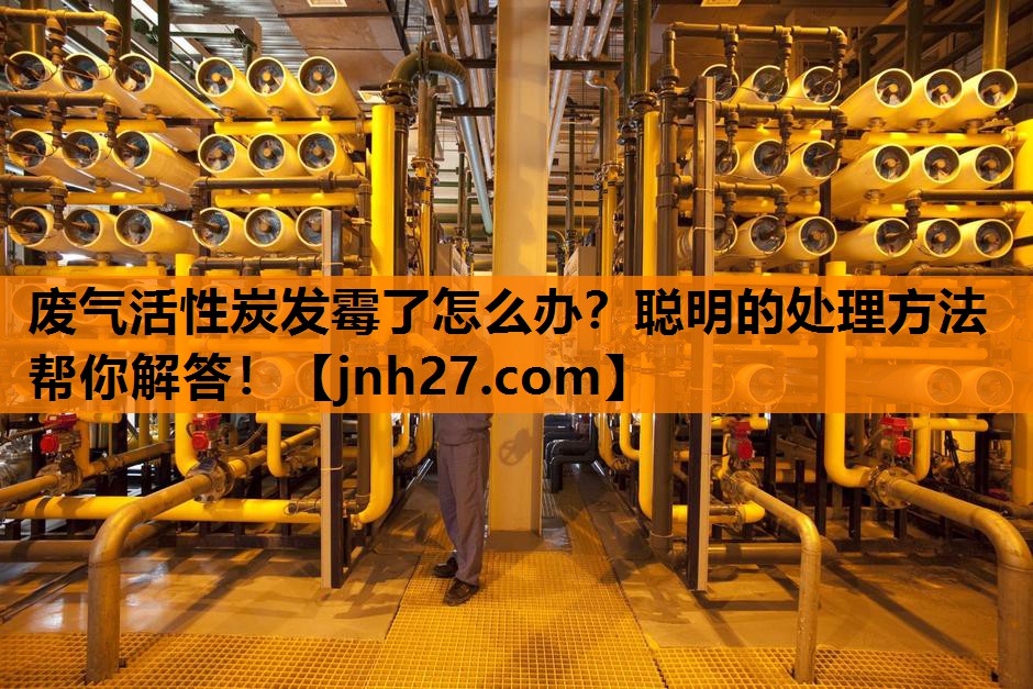 废气活性炭发霉了怎么办？聪明的处理方法帮你解答！