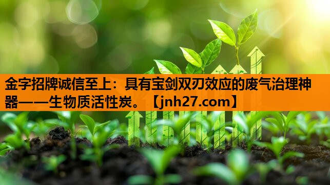 具有宝剑双刃效应的废气治理神器——生物质活性炭。