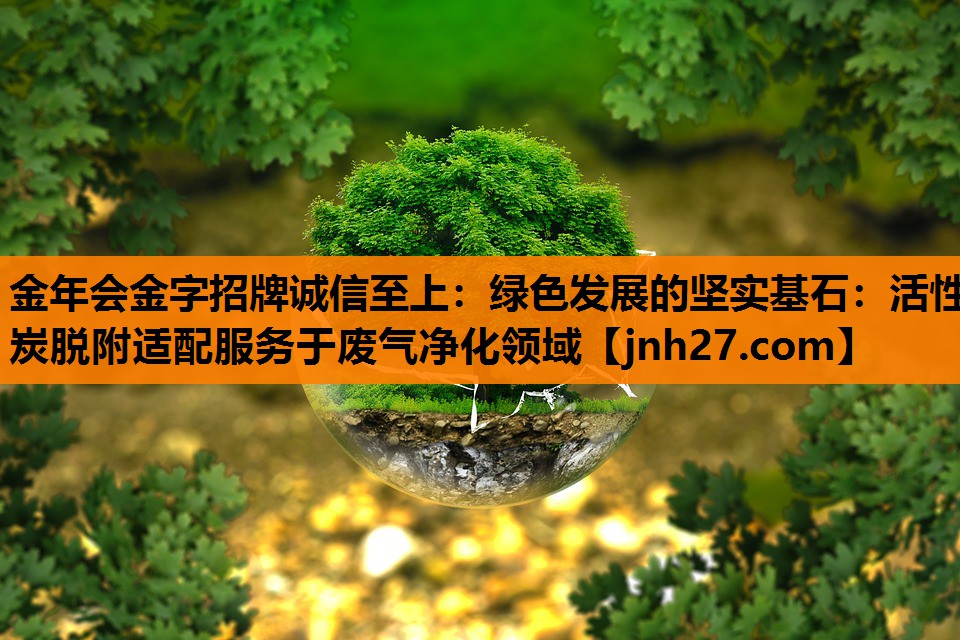 绿色发展的坚实基石：活性炭脱附适配服务于废气净化领域