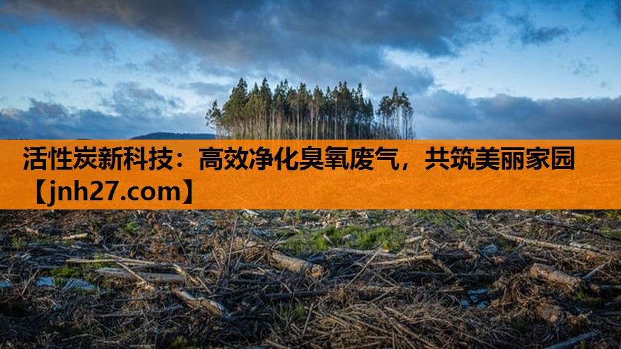 活性炭新科技：高效净化臭氧废气，共筑美丽家园