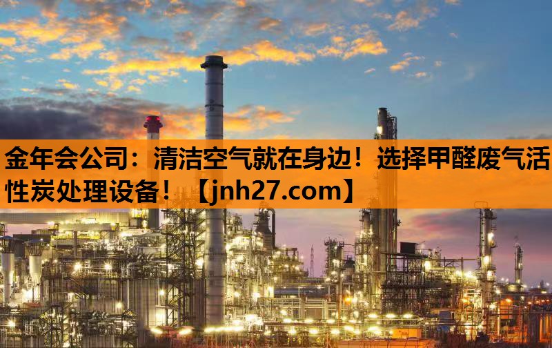 <strong>金年会公司：清洁空气就在身边！选择甲醛废气活性炭处理设备！</strong>
