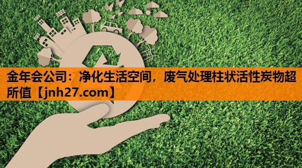 净化生活空间，废气处理柱状活性炭物超所值