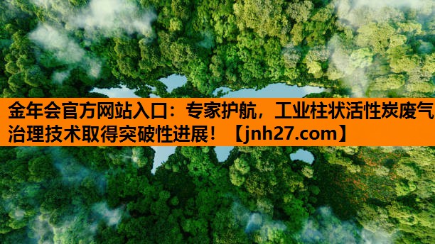专家护航，工业柱状活性炭废气治理技术取得突破性进展！