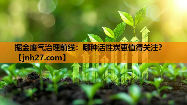 掘金废气治理前线：哪种活性炭更值得关注？