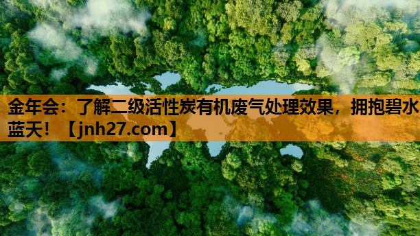 了解二级活性炭有机废气处理效果，拥抱碧水蓝天！
