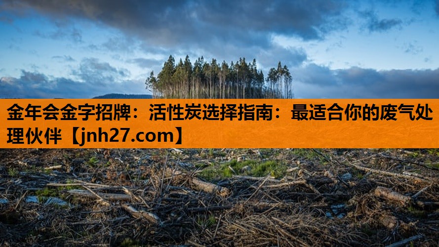 活性炭选择指南：最适合你的废气处理伙伴
